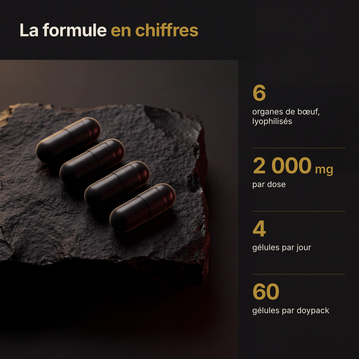 RISE en chiffres : 6 organes, 2 000 mg, 4 gélules, 60 gélules