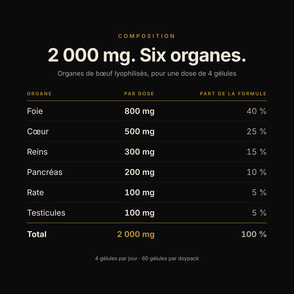 Composition de RISE, organe par organe